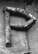 Wall_Art_Alphabet_Photography_Art_ 1804